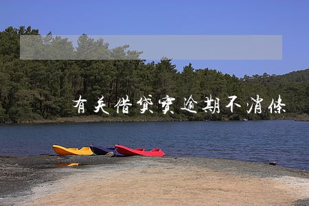 有关借贷宝逾期不消条 有关借贷宝逾期不消条
