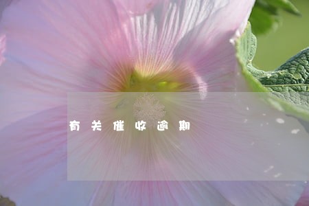 有关催收逾期 有关催收逾期