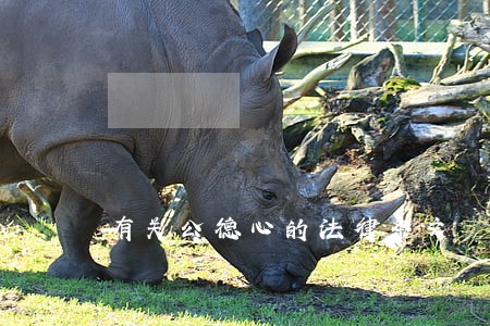 有关公德心的法律条文