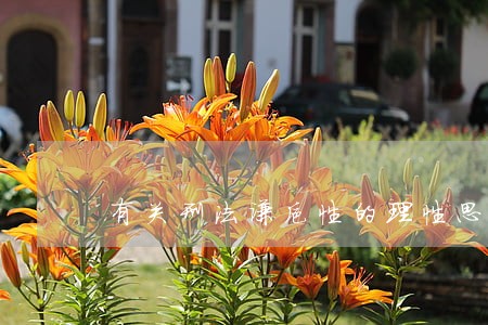 有关刑法谦抑性的理性思考 有关刑法谦抑性的理性思考