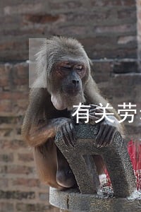 有关劳动合同法司法解释 有关劳动合同法司法解释