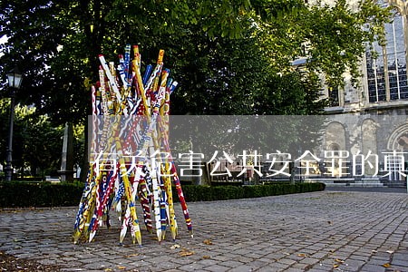 有关危害公共安全罪的真题