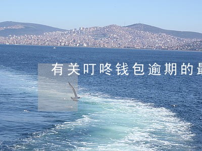 有关叮咚钱包逾期的最新消息 有关叮咚钱包逾期的最新消息