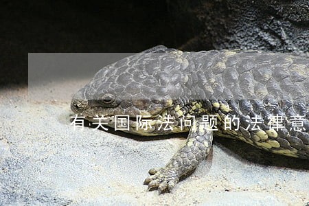 有关国际法问题的法律意见书 有关国际法问题的法律意见书