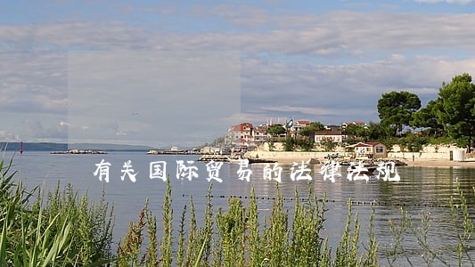 有关国际贸易的法律法规 有关国际贸易的法律法规