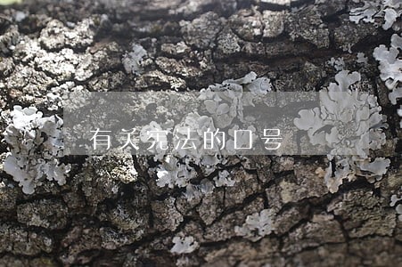 有关宪法的口号 有关宪法的口号