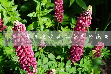 有关建设施工合同的法规有哪些