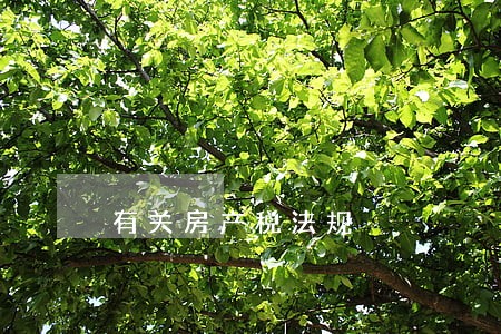 有关房产税法规 有关房产税法规