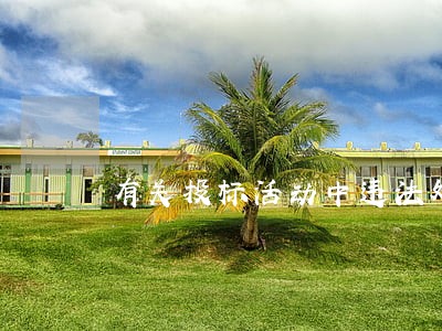 有关投标活动中违法处罚 有关投标活动中违法处罚