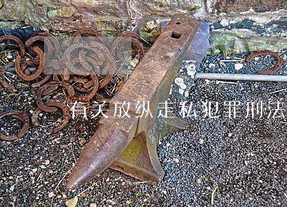 有关放纵走私犯罪刑法条款是什么 有关放纵走私犯罪刑法条款是什么