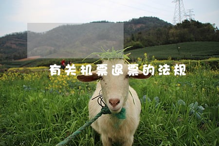 有关机票退票的法规 有关机票退票的法规
