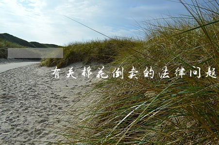 有关棉花倒卖的法律问题 有关棉花倒卖的法律问题