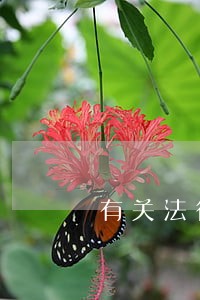 有关法律意识学士学位论文范文 有关法律意识学士学位论文范文