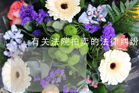 有关法院拍卖的法律纠纷 有关法院拍卖的法律纠纷