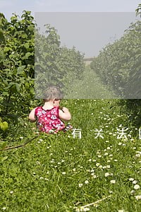 有关法院的投诉去哪里 有关法院的投诉去哪里