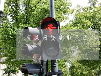 有关网贷逾期不还起诉的法律 有关网贷逾期不还起诉的法律