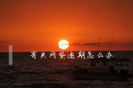 有关网贷逾期怎么办 有关网贷逾期怎么办