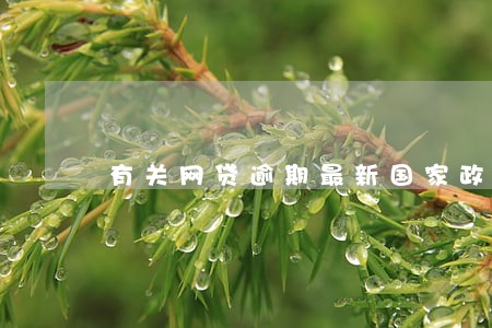 有关网贷逾期最新国家政策 有关网贷逾期最新国家政策