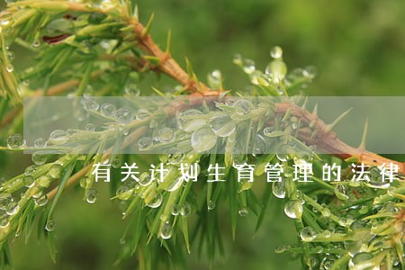有关计划生育管理的法律法规 有关计划生育管理的法律法规