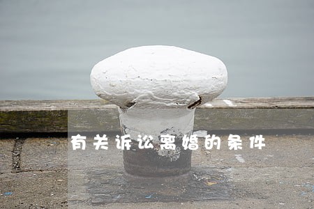 有关诉讼离婚的条件 有关诉讼离婚的条件