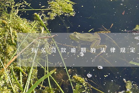 有关贷款逾期的法律规定 有关贷款逾期的法律规定