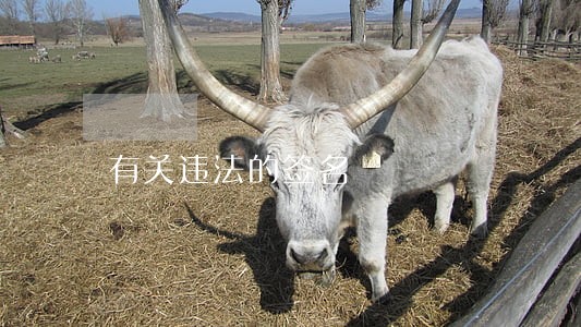 有关违法的签名