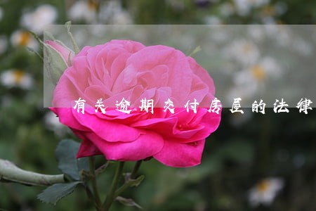 有关逾期交付房屋的法律规定 有关逾期交付房屋的法律规定