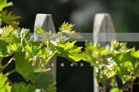 有关逾期付款违约金标准