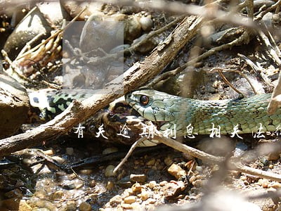 有关逾期利息相关法律规定