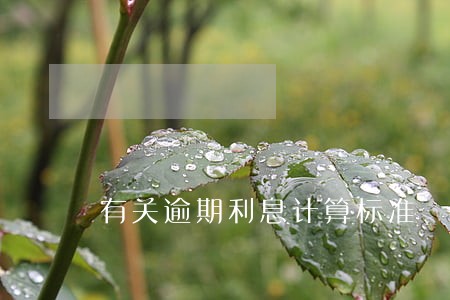有关逾期利息计算标准