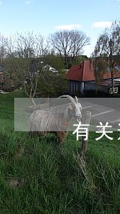 有关逾期法律规定