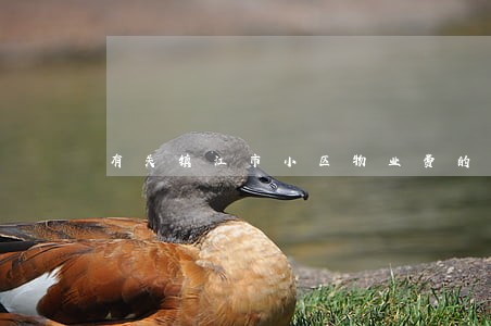 有关镇江市小区物业费的法规 有关镇江市小区物业费的法规