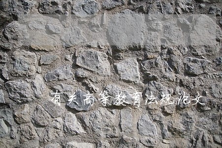 有关高等教育法规论文 有关高等教育法规论文