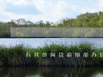 有其他网贷逾期能办信用卡吗