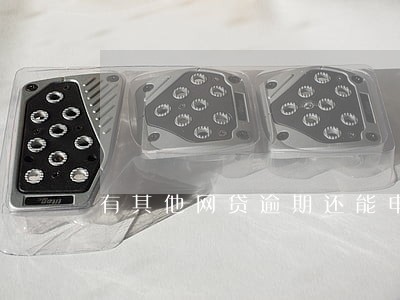有其他网贷逾期还能申请 有其他网贷逾期还能申请