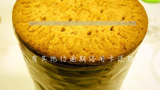 有其他行逾期信用卡还能提额吗