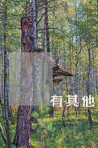 有其他逾期度小满还能借款吗 有其他逾期度小满还能借款吗
