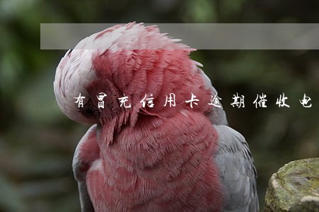 有冒充信用卡逾期催收电话吗 有冒充信用卡逾期催收电话吗