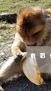 有冒充捷信分期短信逾期 有冒充捷信分期短信逾期