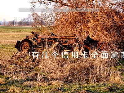 有几个信用卡全面逾期 有几个信用卡全面逾期