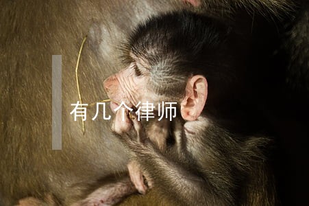 有几个律师 有几个律师