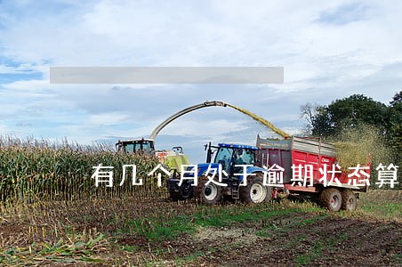 有几个月处于逾期状态算黑户吗 有几个月处于逾期状态算黑户吗