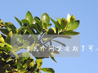 有几个网贷逾期了可以供车吗 有几个网贷逾期了可以供车吗