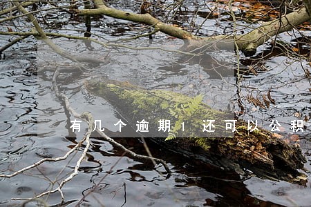 有几个逾期1还可以公积金贷款吗 有几个逾期1还可以公积金贷款吗