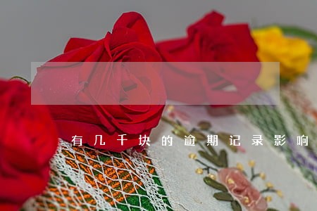 有几千块的逾期记录影响出国吗 有几千块的逾期记录影响出国吗