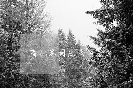 有几家司法亲子鉴定 有几家司法亲子鉴定