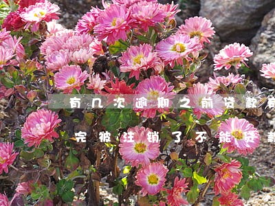有几次逾期,工商银行信用卡多久才算逾期不能贷款 有几次逾期,车库贷款 逾期不能贷款
