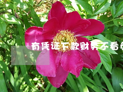 有凭证下款财务不看负债逾期 有凭证下款财务不看负债逾期