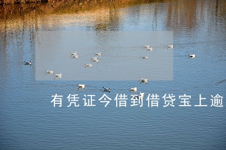 有凭证今借到借贷宝上逾期不还 有凭证今借到借贷宝上逾期不还