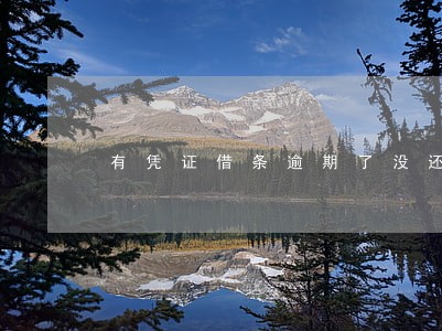 有凭证借条逾期了没还就撕
